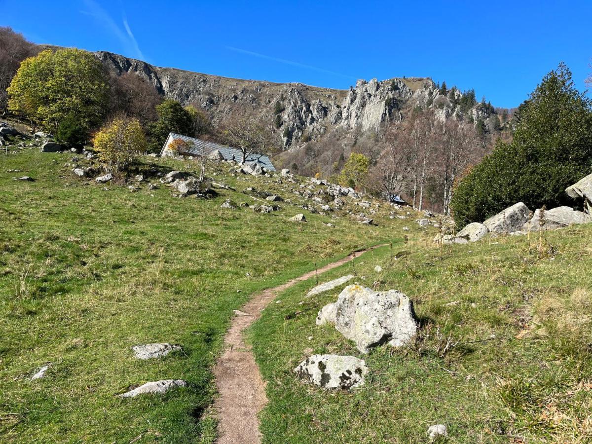 Gite De Montagne -Bellefosse Alsace Dış mekan fotoğraf