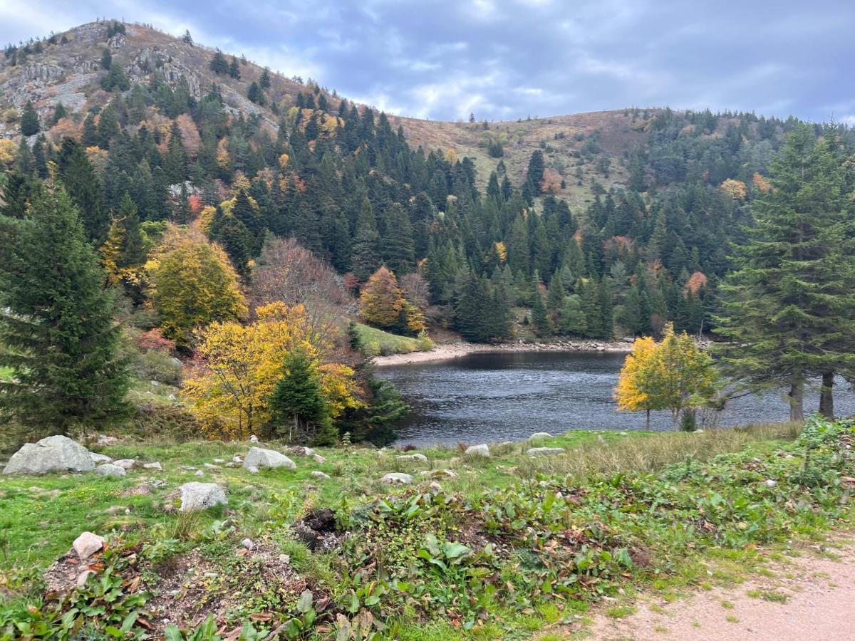Gite De Montagne -Bellefosse Alsace Dış mekan fotoğraf