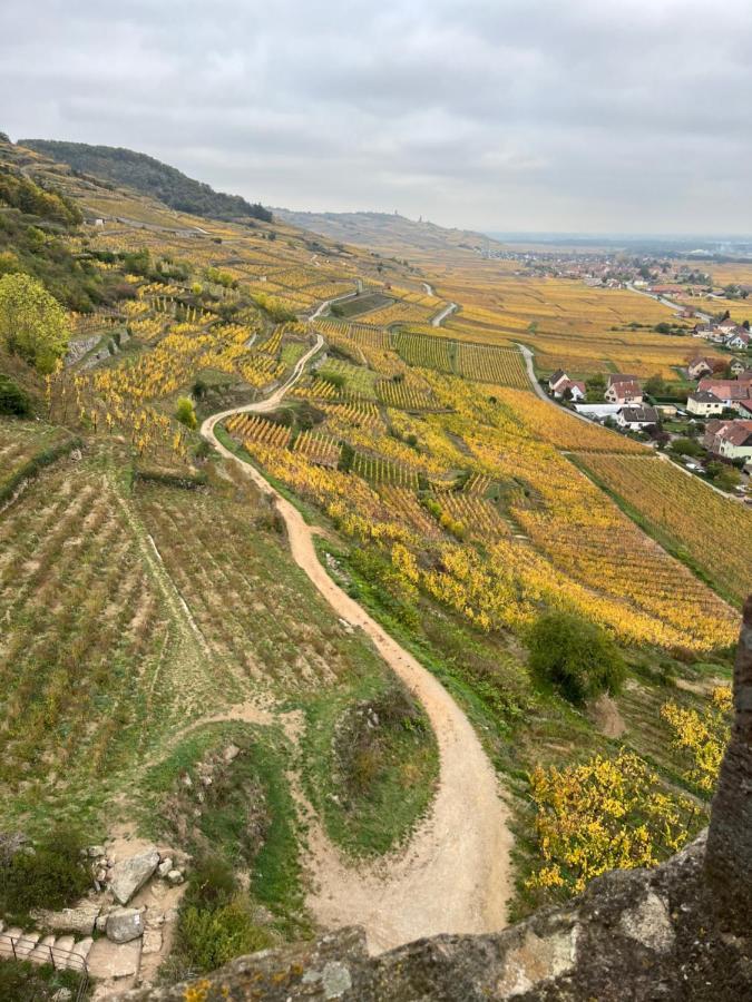 Gite De Montagne -Bellefosse Alsace Dış mekan fotoğraf