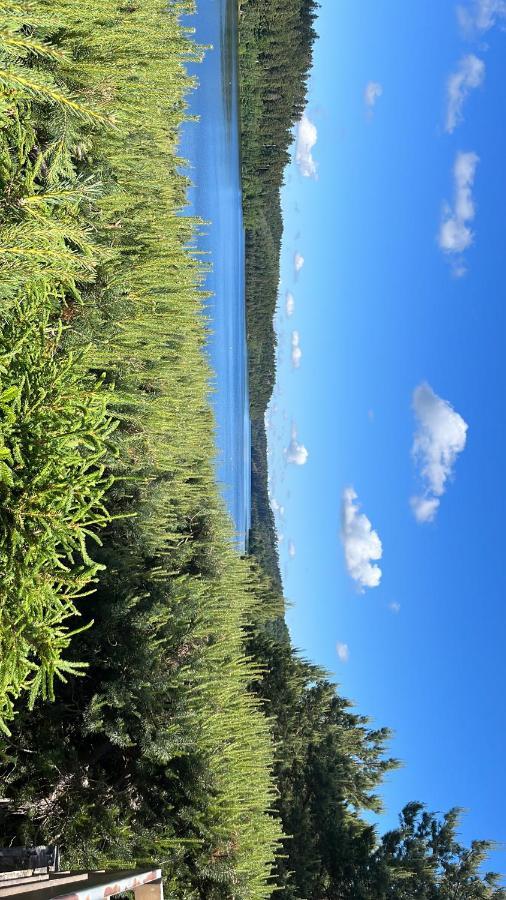 Gite De Montagne -Bellefosse Alsace Dış mekan fotoğraf