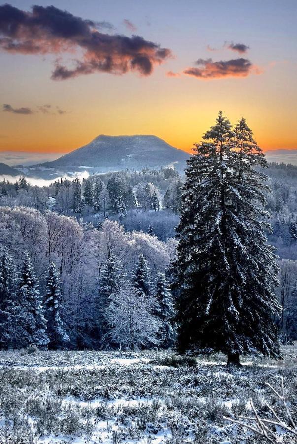 Gite De Montagne -Bellefosse Alsace Dış mekan fotoğraf