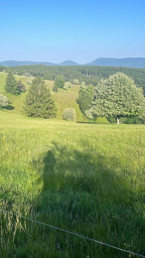 Gite De Montagne -Bellefosse Alsace Dış mekan fotoğraf