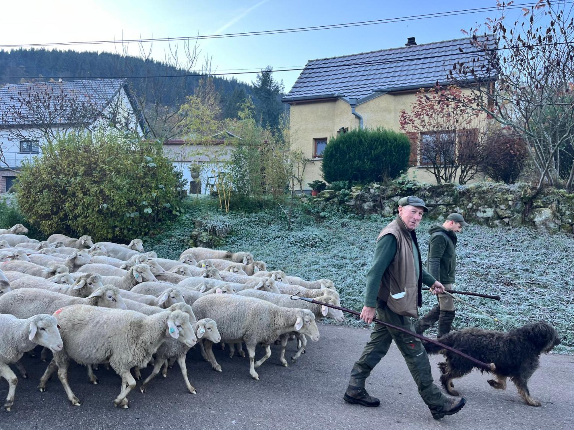 Gite De Montagne -Bellefosse Alsace Dış mekan fotoğraf