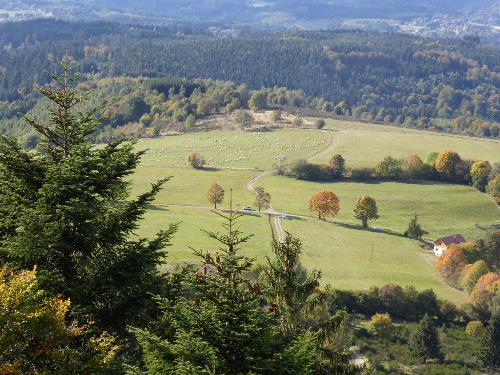 Gite De Montagne -Bellefosse Alsace Dış mekan fotoğraf
