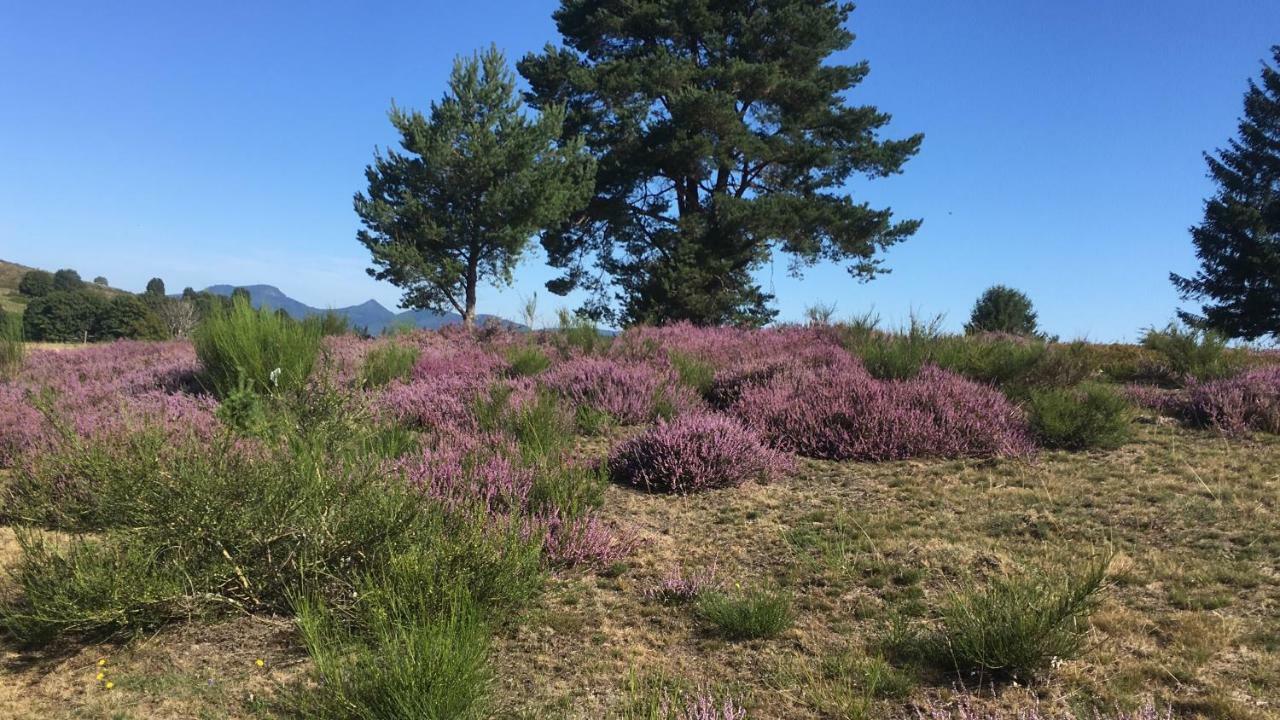 Gite De Montagne -Bellefosse Alsace Dış mekan fotoğraf
